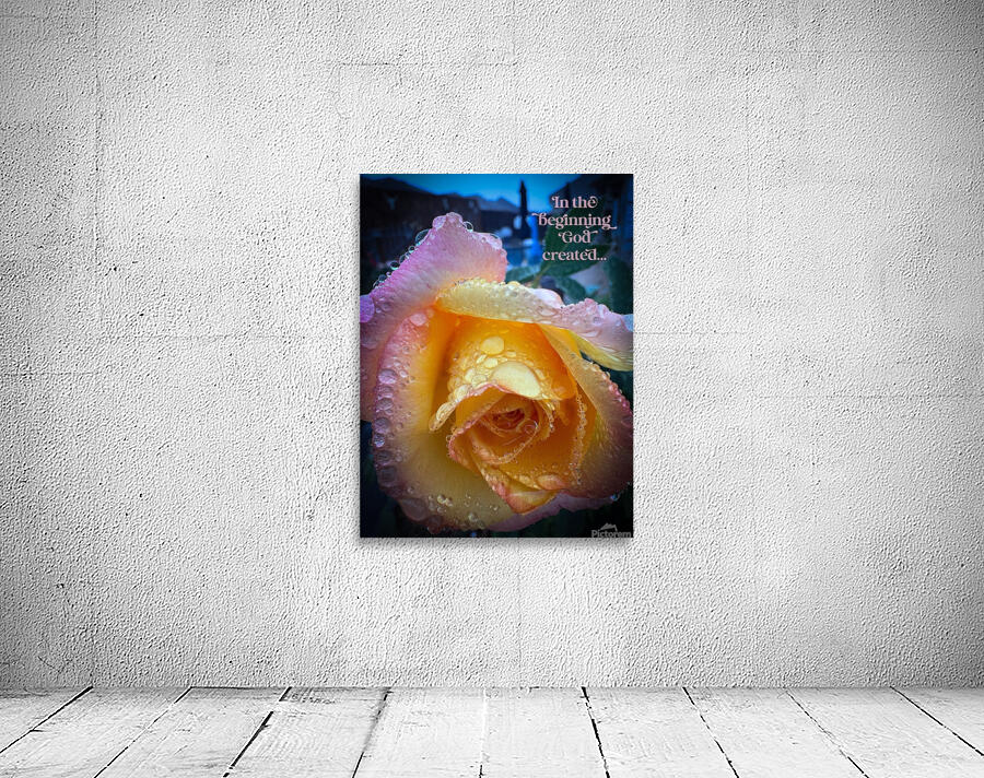 Sunset Pink Wall Preview