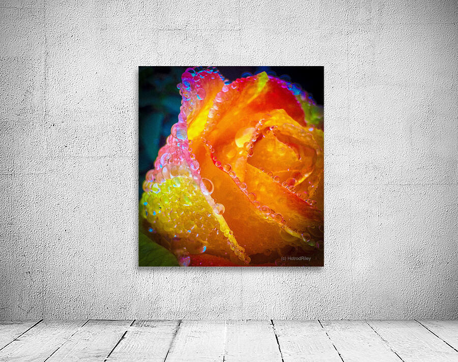 Peach Cobler Wall Preview