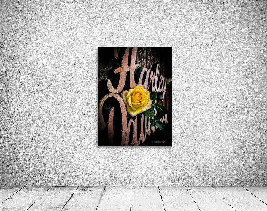 HD Yellowrose Wall Preview