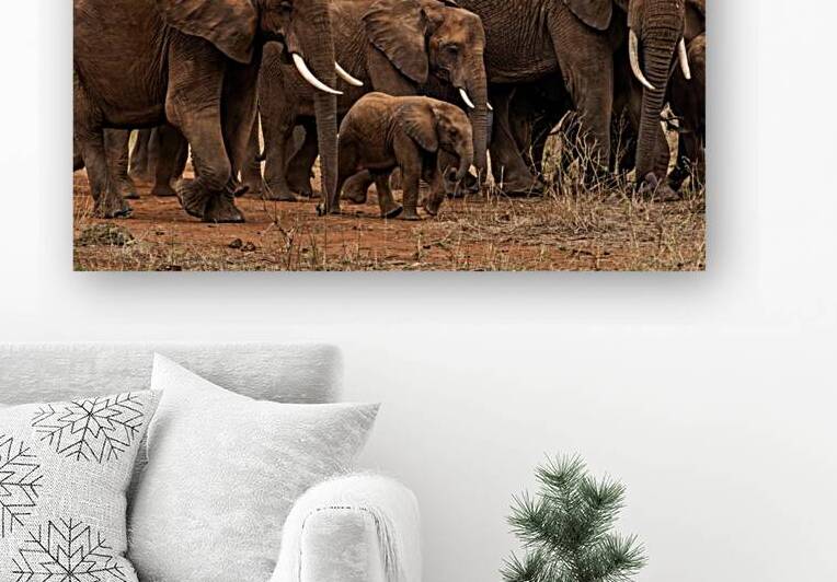 IMG 1537 by Africa
