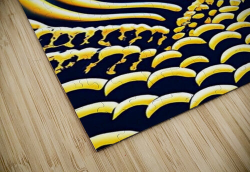 Wavy Fields TaTaJe puzzle