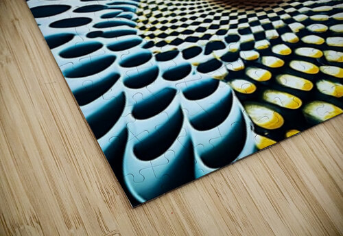 Cosmic Eyeball TaTaJe puzzle