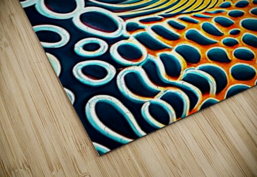 Earth Hole TaTaJe puzzle