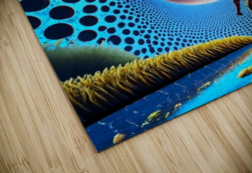 Cosmo Man TaTaJe puzzle