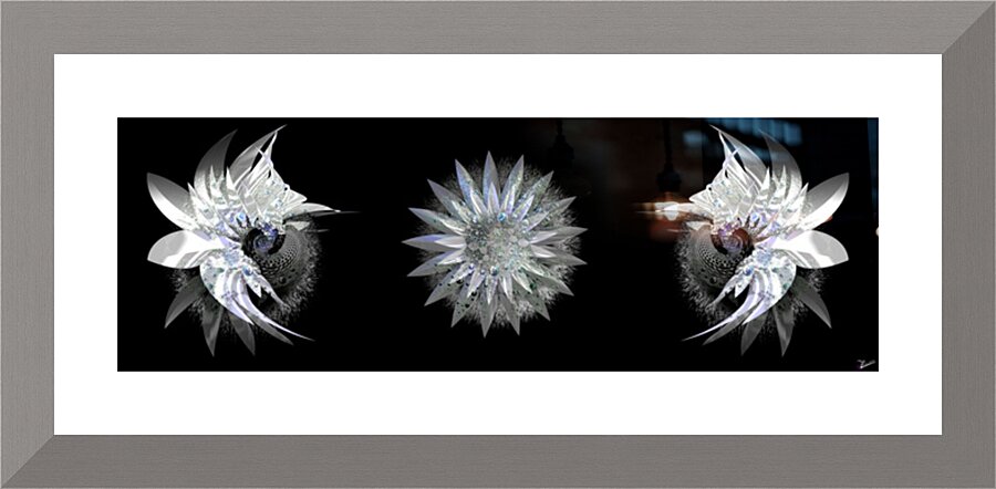 Moon Bloom Panel  Picture Frame Printing