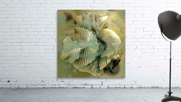 abstract6.23 P42.1  Wall Preview