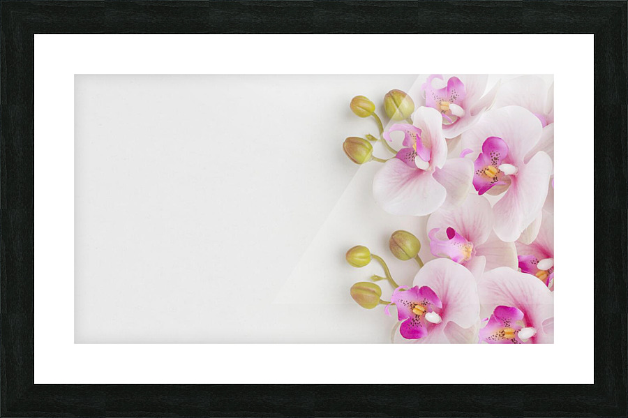 flat lay orchids with copy space Picture Frame print