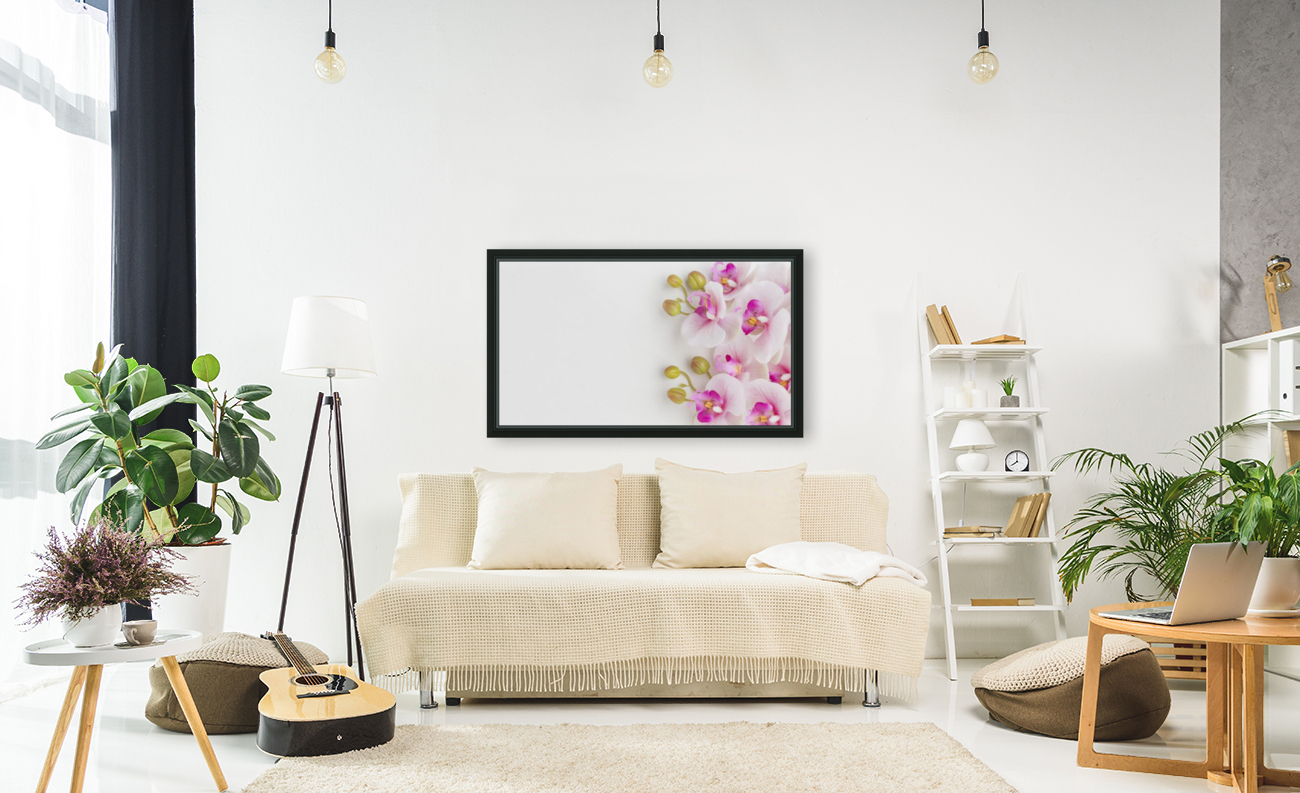 flat lay orchids with copy space Reproduction