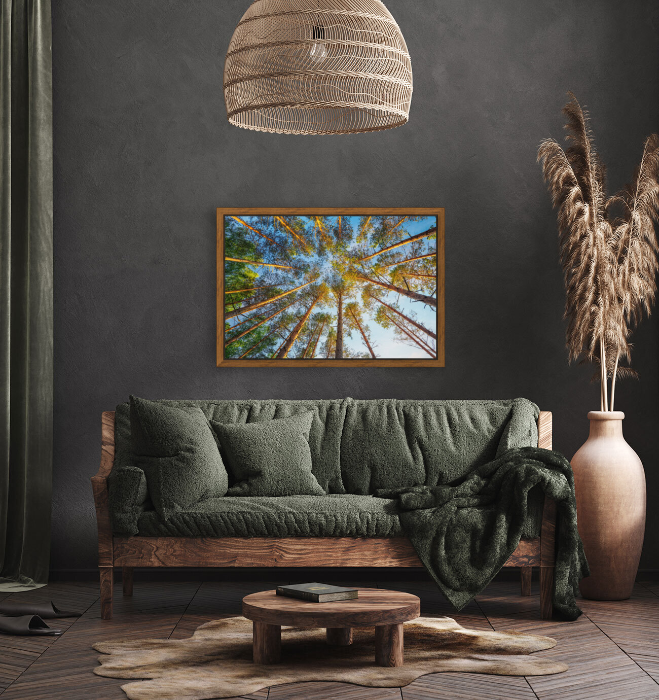 into forest during sunset composition nature Reproduction