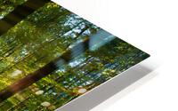 forest trees HD Metal print