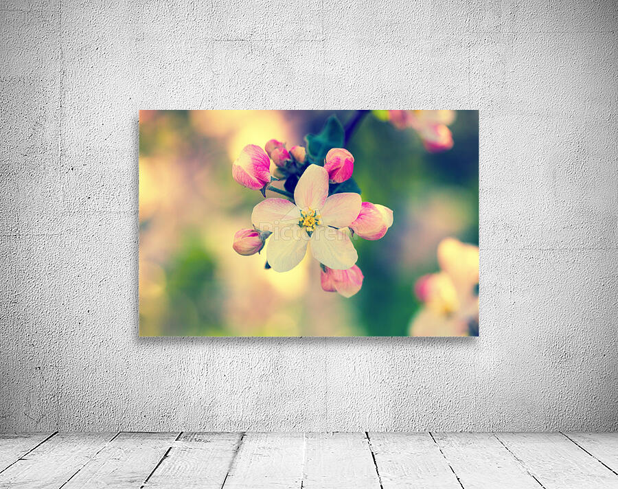 blossoming apple tree Wall Preview