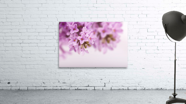 spring lilac flowers Wall Preview