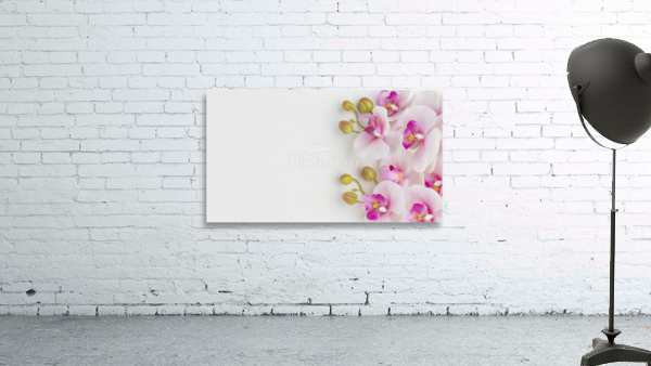 flat lay orchids with copy space Wall Preview