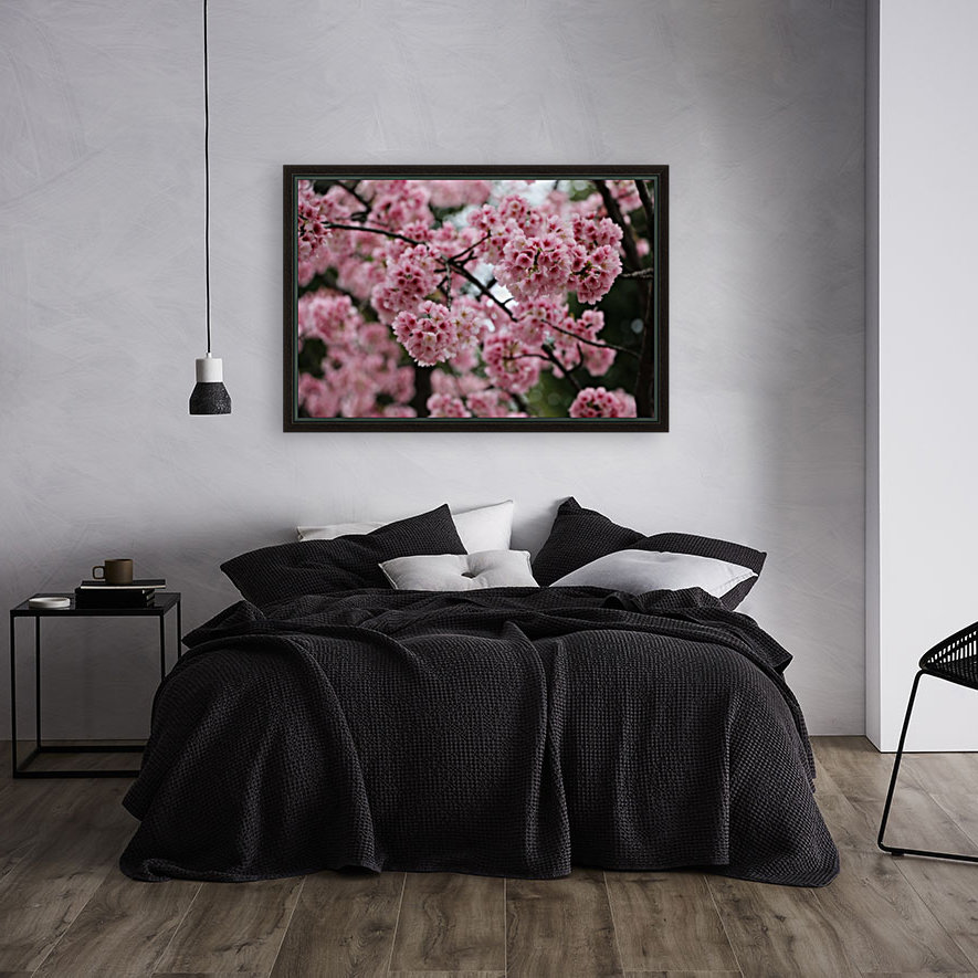 Sakura  Reproduction