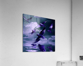 Oiseaux Acrylic Print