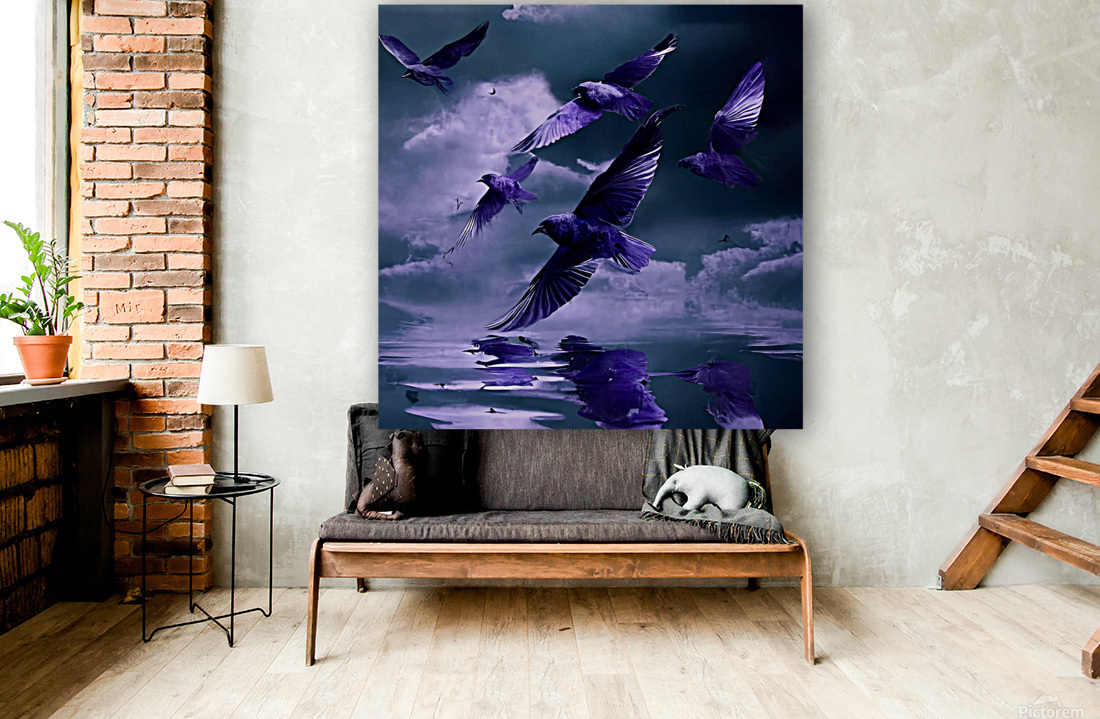 Oiseaux Reproduction