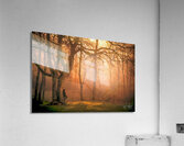 Be Thou My Vision Acrylic Print