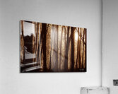 Textures In Timber Acrylic Print