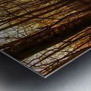 Storing Up Treasures Metal print