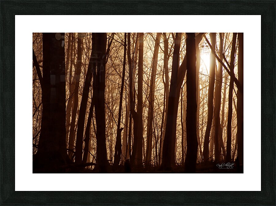 Textures In Timber Picture Frame print