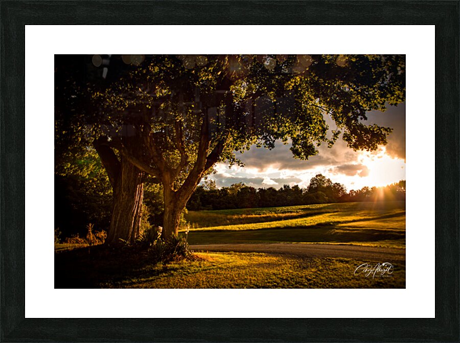 Irreplaceable  Picture Frame print