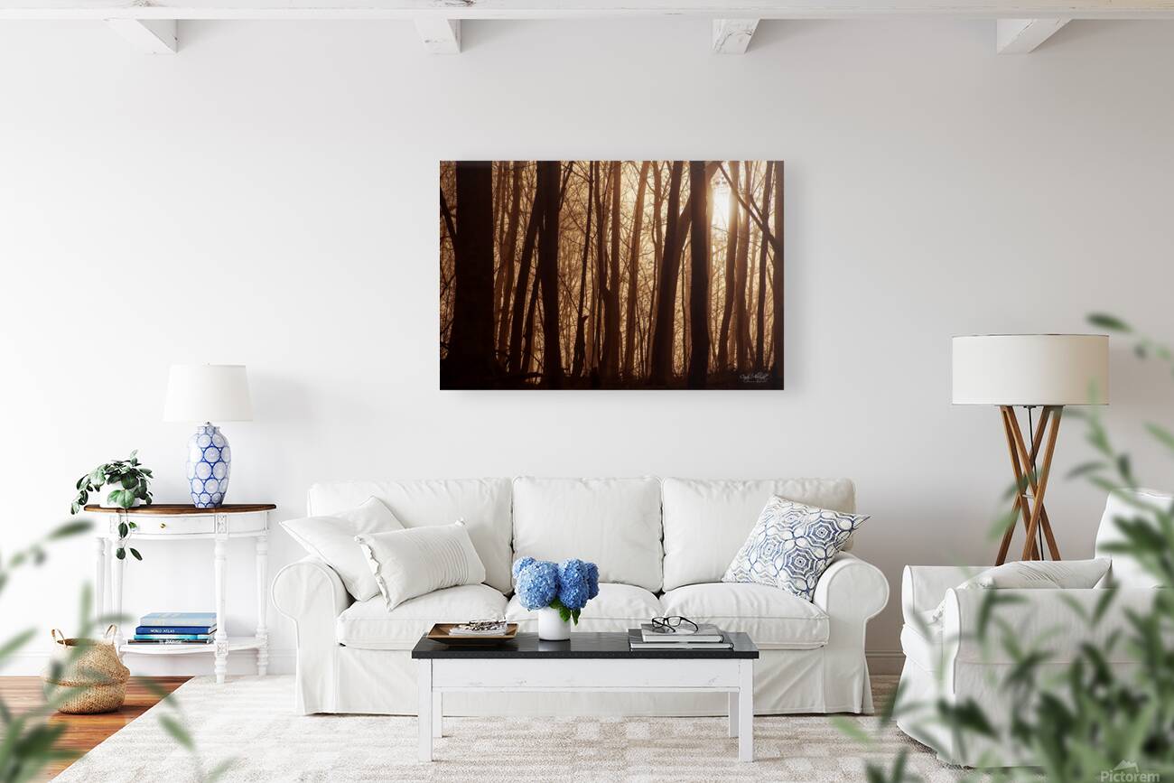 Textures In Timber Reproduction