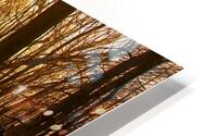 Storing Up Treasures HD Metal print
