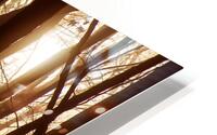 Textures In Timber HD Metal print