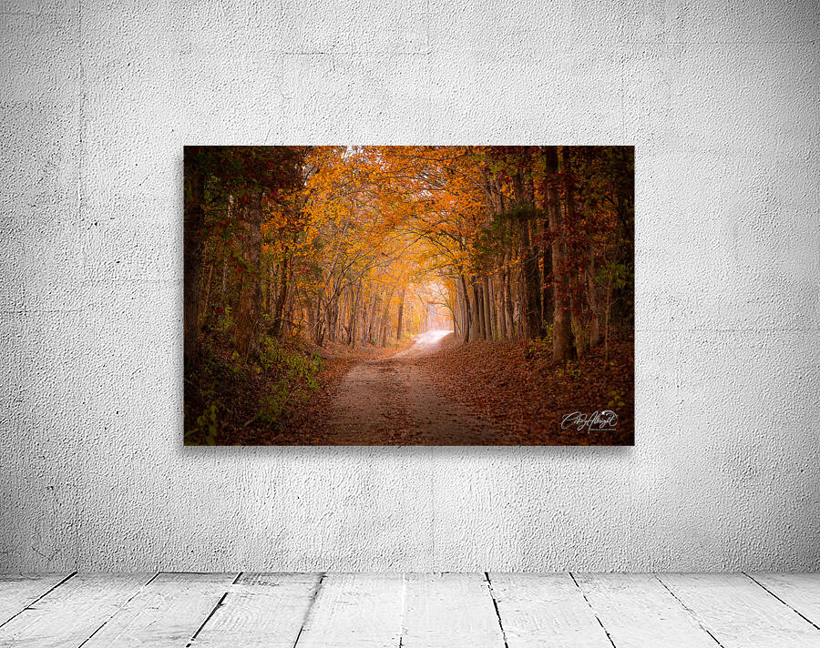 Walk With Me Wall Preview