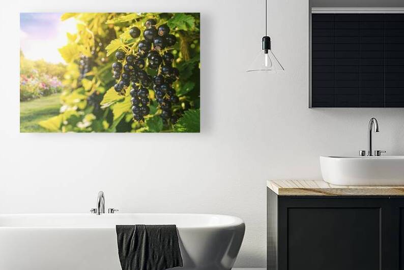A vibrant and sunny scene of a lush garden teemin by Mihai Pulca