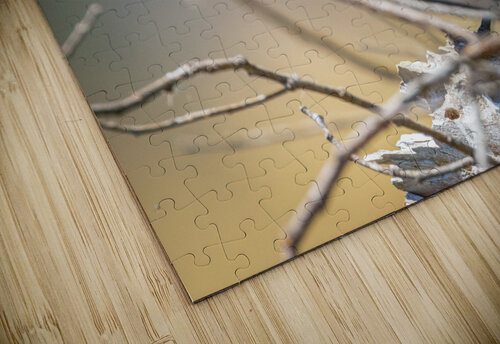 Red-winged Blackbird Evan Mueller puzzle