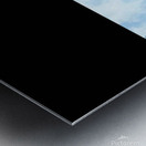 Enchanted Arboreal Journey  Metal print