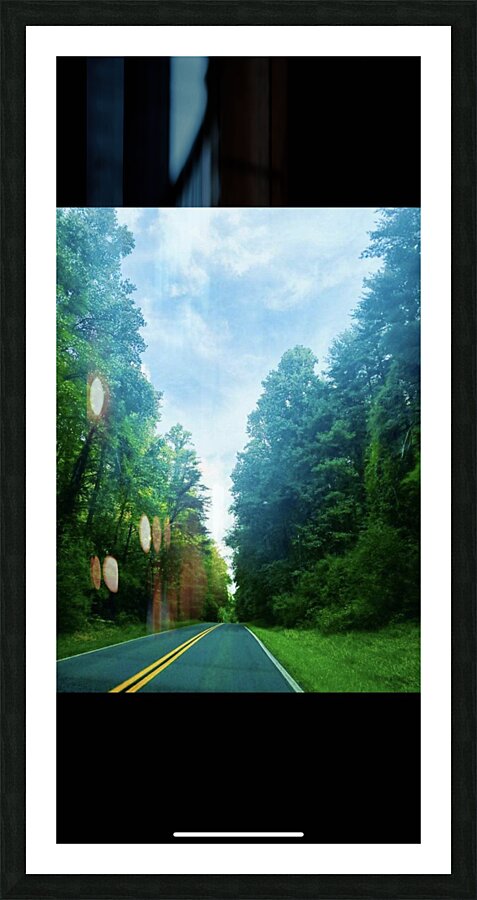 Enchanted Arboreal Journey  Picture Frame print