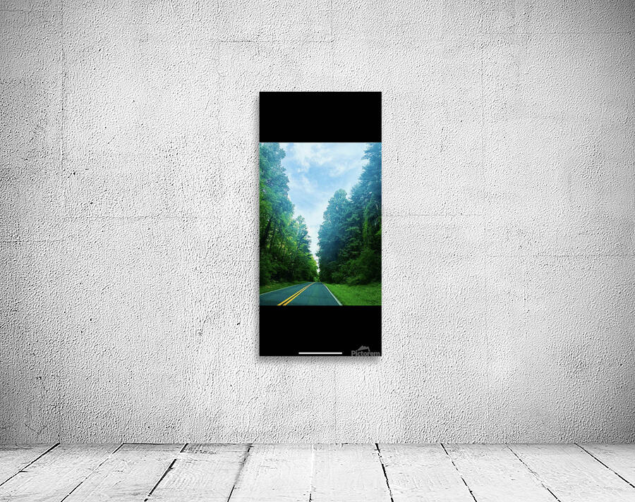 Enchanted Arboreal Journey  Wall Preview