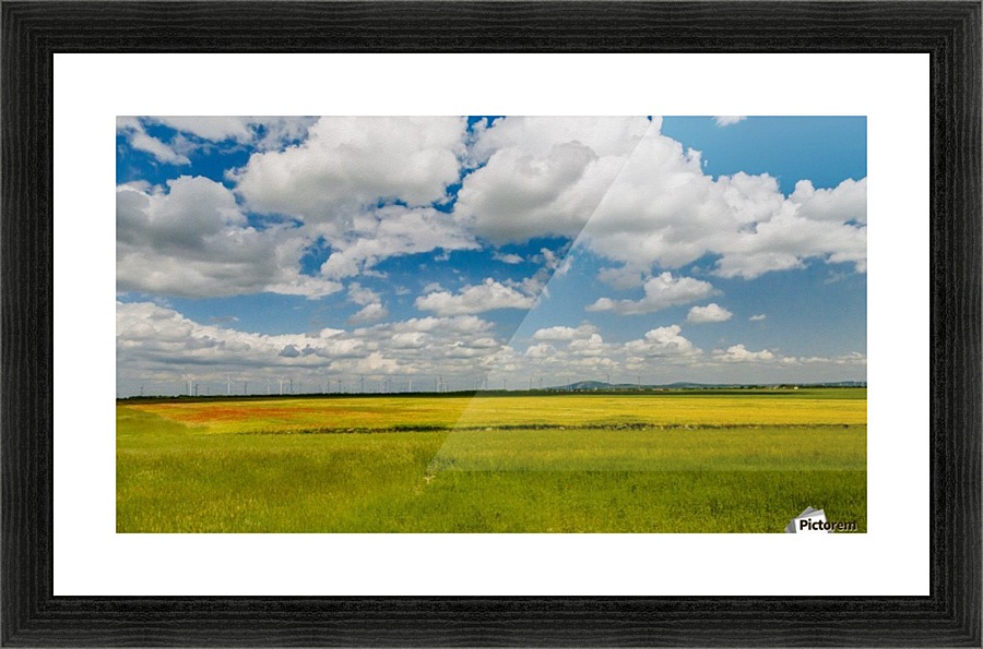 DSC02035 as Smart Object 1 Picture Frame print