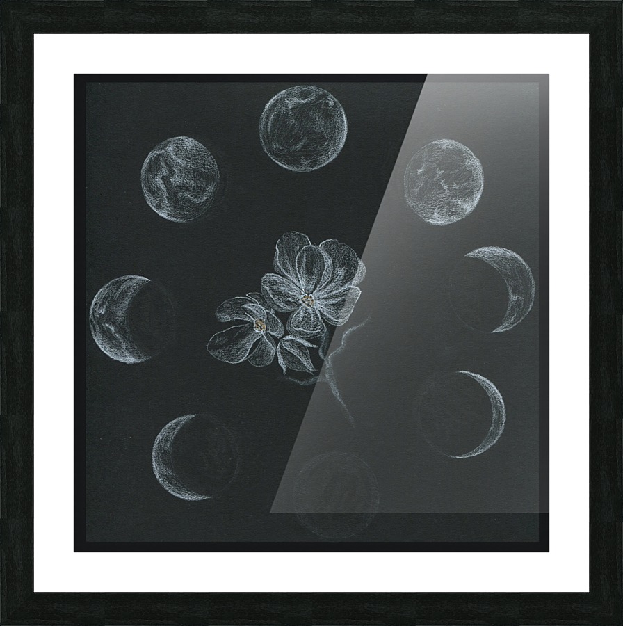 lunar system Picture Frame print