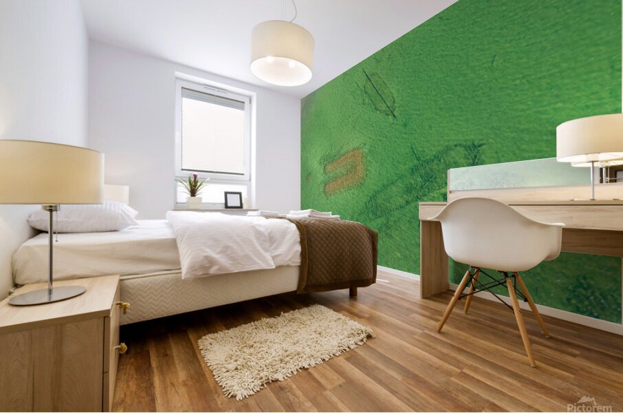 Epaves Mural print