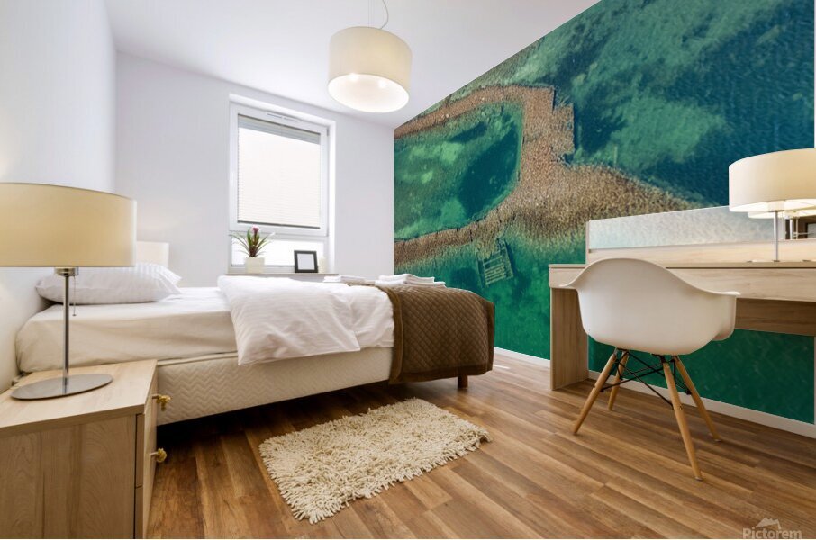 Vestiges Mural print