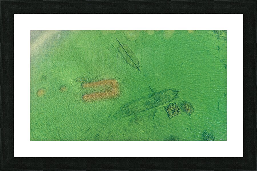  Fine Art print
