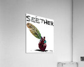 Seether 14 Acrylic Print