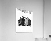 Seether 18 Acrylic Print
