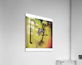 Seether 22 Acrylic Print