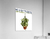 Seether 24 Acrylic Print
