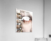 Seether 47 Acrylic Print