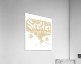 Seether 20 Acrylic Print