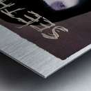Seether 25 Metal print