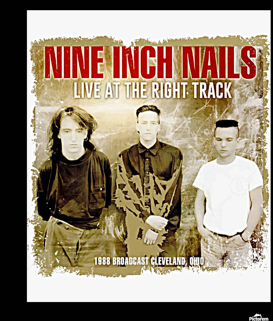 Nine Inch Nails 22 Reproduction