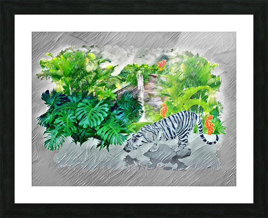 Bengal Tiger Picture Frame print