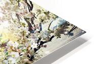 Welcome to Spring HD Metal print