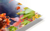 Romantic Autumn  HD Metal print